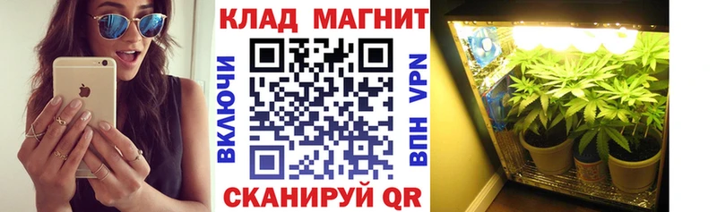 Купить закладку Марихуана  APVP  КОКАИН  ГАШ  АМФ  Меф мяу мяу  Алексеевка