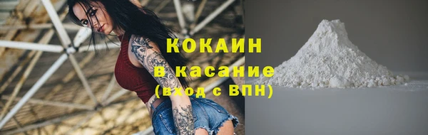 шишки Калининец