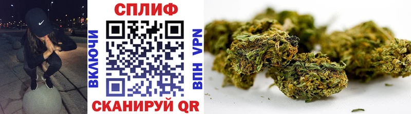 Бошки марихуана SATIVA & INDICA Купить где Алексеевка